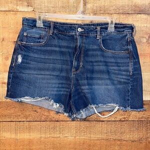 American Eagle Tomgirl Jean Shorts